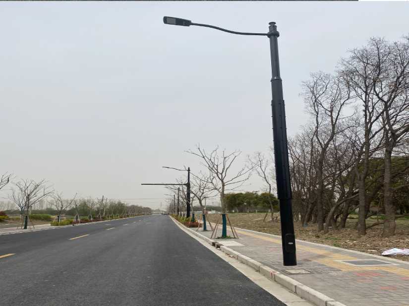 田林县上海综合杆 太阳能路灯工程